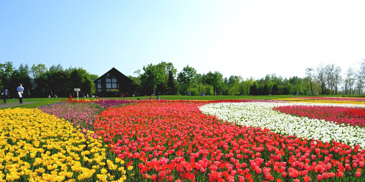 🏞️ 국영 다키노 스즈란 구릉공원 이미지 1